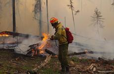 Более 60 тысяч гектаров горевшей тайги потушено в Якутии