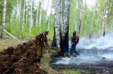 Этой ночью в Иркутской области на пожарах были спасены 5 человек