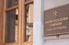 Петербургский ГИК частично удовлетворил жалобу Булановой на отказ в регистрации кандидатом