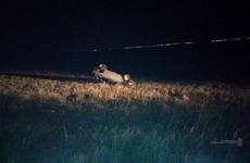В Волгограде под прицелом видеокамеры разбились два внедорожника