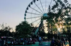 Петербуржцы оценили благоустройство городских парков