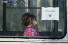 Волгоградцам объяснили причины исчезновения гриппа