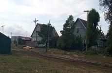 Последствия ураганного ветра ликвидируют в Ольховском районе