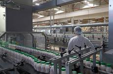 Роскачество обнаружило в ряженке кишечную палочку