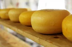 Бренды Ленобласти примут участие в конкурсе "Вкусы России"