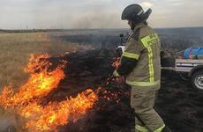 Специалисты устанавливают причину пожара в Дубовском районе