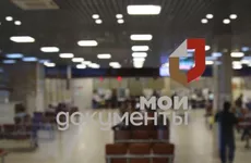 Визы можно оформить во всех МФЦ Ленобласти