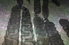 Браконьера-рецидивиста с подельников задержали в Ростовской области