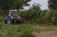 В Курском округе Ставрополья полицейские ликвидировали крупный очаг дикорастущей конопли