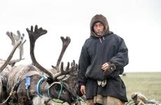 Оленеводам НАО обеспечат приоритетное право на ловлю рыбы в малых реках