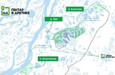 По программе «Гектар в Арктике» в Ненецком АО заключено 18 договоров
