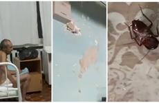 Жесть и трэш в больницах Ростовской области показала блогер из Азова