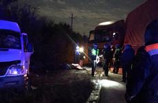 Пьяный водитель грузовика погубил жизни двух человек под Новошахтинском