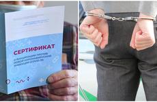 Мать с ребенком попали в больницу после ДТП на Северном объезде Ростова В Ростове мужчина торговал QR-кодами о прохождении вакцинации от ковида