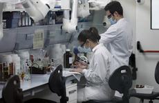 Wall Street Journal: журнал Lancet распустил группу ученых, исследовавшую происхождение COVID