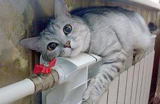 В домах ставропольцев станет тепло 29 сентября