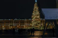 В Петербурге стартует голосование по выбору новогодней елки