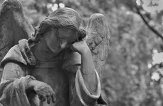 У муниципальных ритуальщиков в Кузьмолово прошли обыски