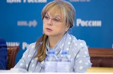 Памфилова предложила «двойникам» Бориса Вишневского сняться с выборов