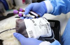 Региональных запасов крови не хватает: волгоградцы на грани жизни и смерти просят о помощи