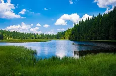 Через Торфяновку и Брусничное можно будет проехать по электронной визе