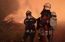 В Хакасии рядом с домом отшельницы Агафьи Лыковой произошел пожар