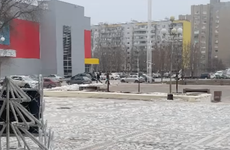 Кражу елочных шариков с городской елки на Курчатова запечатлели на камеру