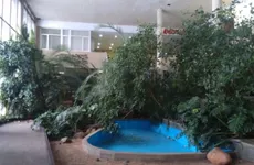 Новый собственник: растениям зимнего сада ЛДМ ничего не угрожает