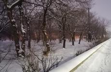Мэрия Волгограда отчиталась о расчистке основных дорожных магистралей
