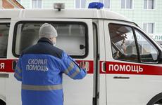 В Тверской области собака загрызла ребенка заводчицы