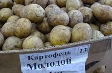 В январе для камышан дорожают капуста, картошка, макароны и бананы
