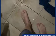 "Нас било током!": квартиры девятиэтажки в Волгограде затопило кипятком из-за порыва стояка
