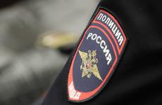 В Подмосковье злоумышленники напали на вдову музыканта Александра Градского