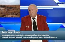 Бывший глава Роспотребнадзора в Волгограде пойдет под суд из-за Кировской свалки