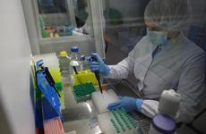 Институт ФМБА подал заявку на регистрацию вакцины от COVID-19 «Конвасэл»