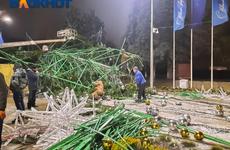 Упавшую главную елку Ростова восстановят по гарантии