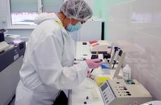 Крупнейшую на Юге России лабораторию по изучению новых штаммов коронавируса откроют в СКФУ