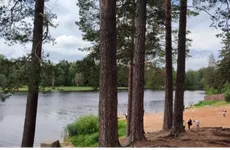 В Ленобласти возбудили дело по факту гибели женщины в проруби во время крещенских купаний
