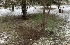 Закопанное тело младенца нашли недалеко от гостиницы на Ставрополье