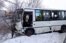 В Шушарах крупное ДТП с фурой и маршруткой, пострадали полтора десятка человек