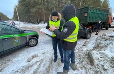 Большинство нелегальных свалок в Ленобласти копятся в лесах