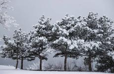 Вильфанд предупредил москвичей о сильной метели в воскресенье