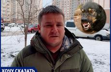 «Назначили прививки от бешенства»: ростовчанин рассказал про нападение собак в Левенцовке