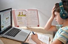 На Ставрополье учеников 1-9 классов переводят на дистанционное обучение