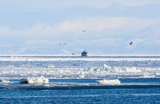 В Охотском море грузовое судно подало сигнал бедствия из-за угрозы повреждения корпуса льдами
