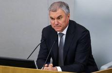 Володин намерен добиться принятия закона о пожизненном заключении педофилов уже в январе