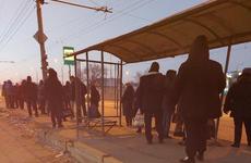 Волгоградские чиновники пересчитают пассажиров сокращаемой маршрутки