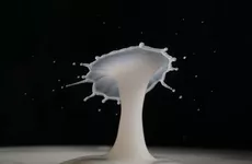 Игорь Кремнев рассказал, как будет работать завод «Danone» в Липецке