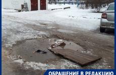 «Противно передвигаться по городу»: замусоренные улицы Волгодонска показали читатели