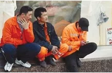 В Калужской области мигрантам запретят работать в сферах перевозок и общепита
